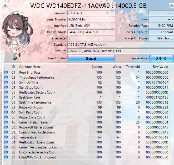 Western Digital 14TB Silver SATA Hard Disk Drive | WD140EDFZ