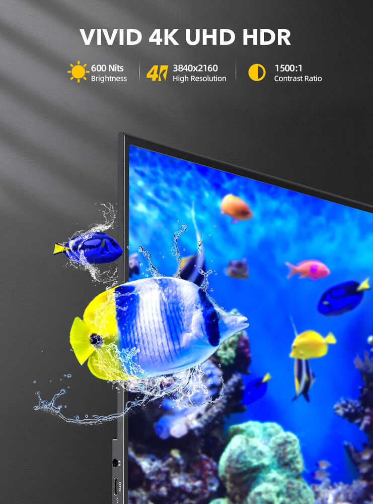 15.6" 4K Ultra HD Portable Monitor with HDR and VESA Mount