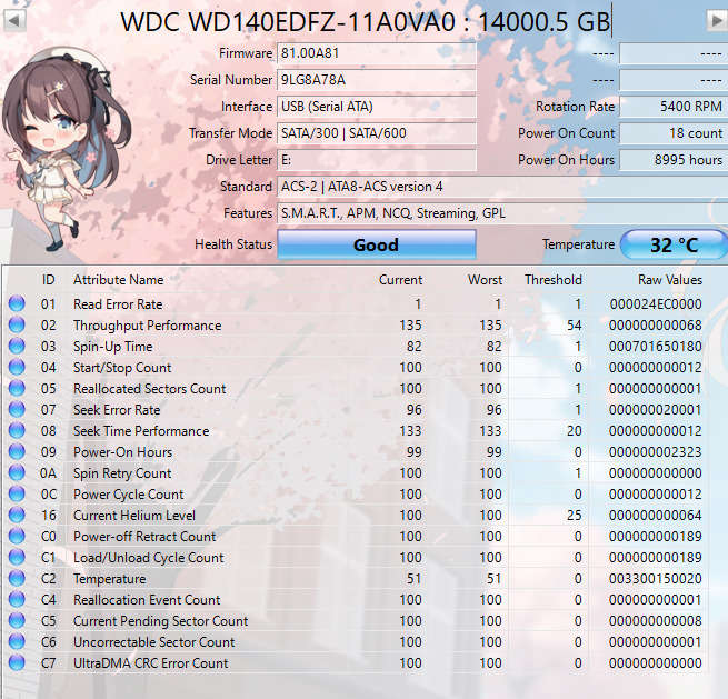 Western Digital 14TB Silver SATA Hard Disk Drive | WD140EDFZ