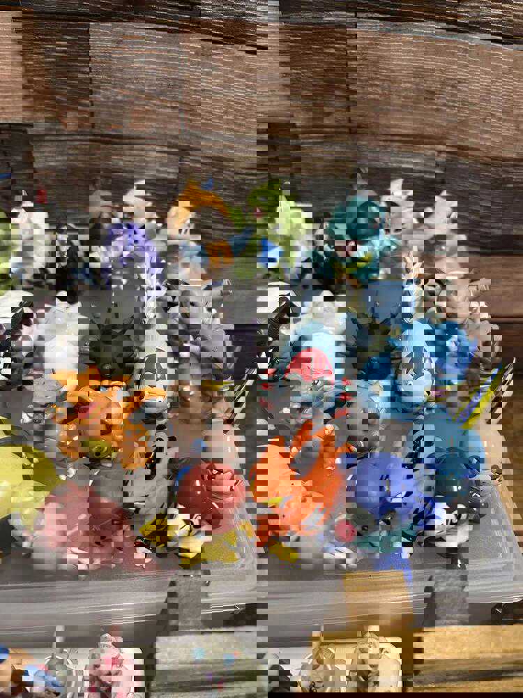 Pokemon Soft Vinyl Figures Bulk Sale - Japan Exclusive