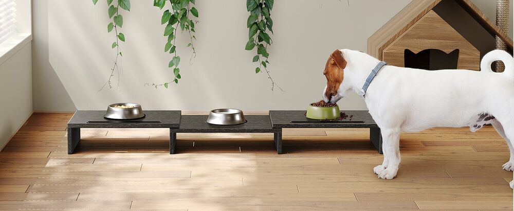 Adjustable Dual Monitor Stand with Polycarbonate Shelf - Ameriergo AEMS01