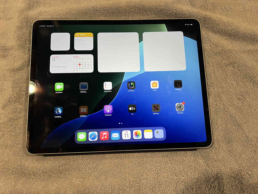 Apple 12.9 inch iPad Pro (3rd Gen) - 256GB, Wi-Fi