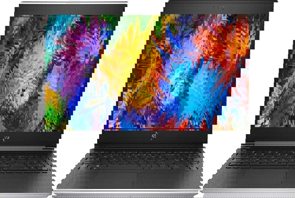 HP ProBook 15.6 Laptop with Radeon R5, 16GB RAM, 1TB SSD - Clearance Sale