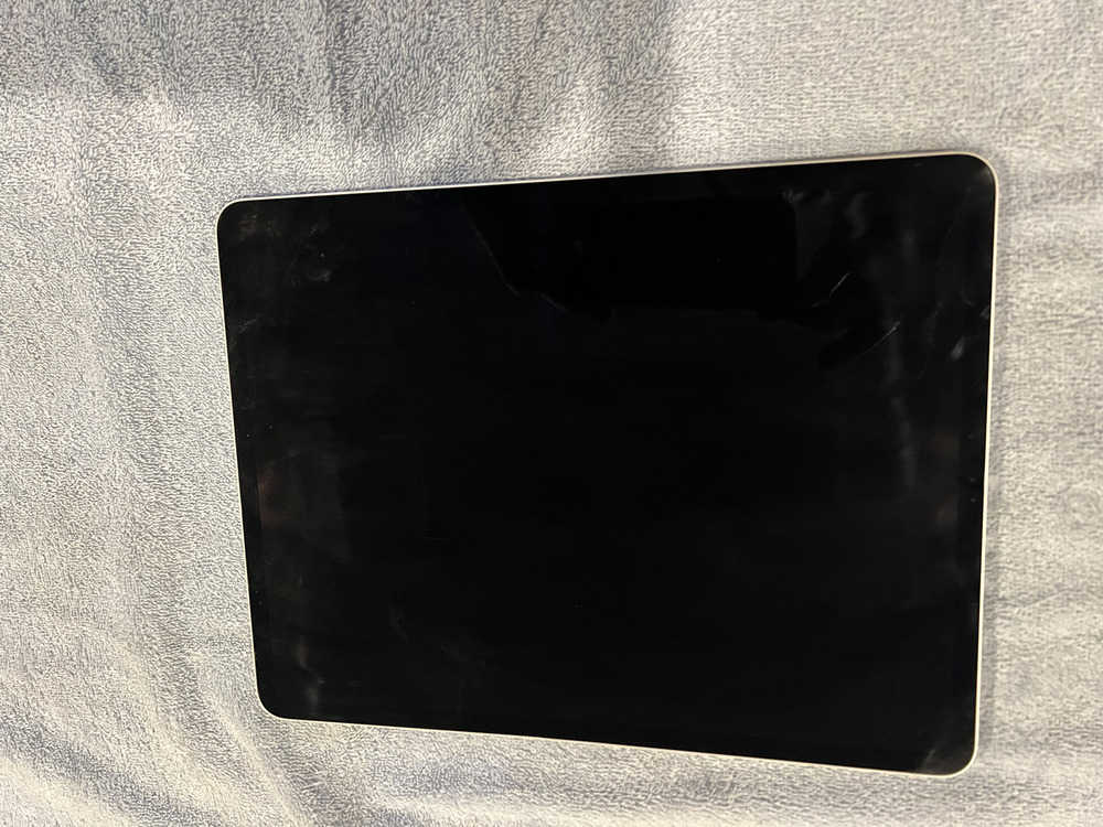 Apple 12.9 inch iPad Pro (3rd Gen) - 256GB, Wi-Fi