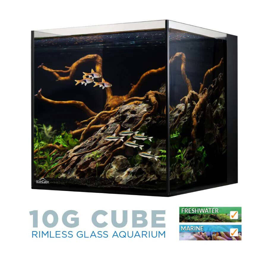 10 Gallon Cube AIO Rimless Glass Aquarium - IceCap