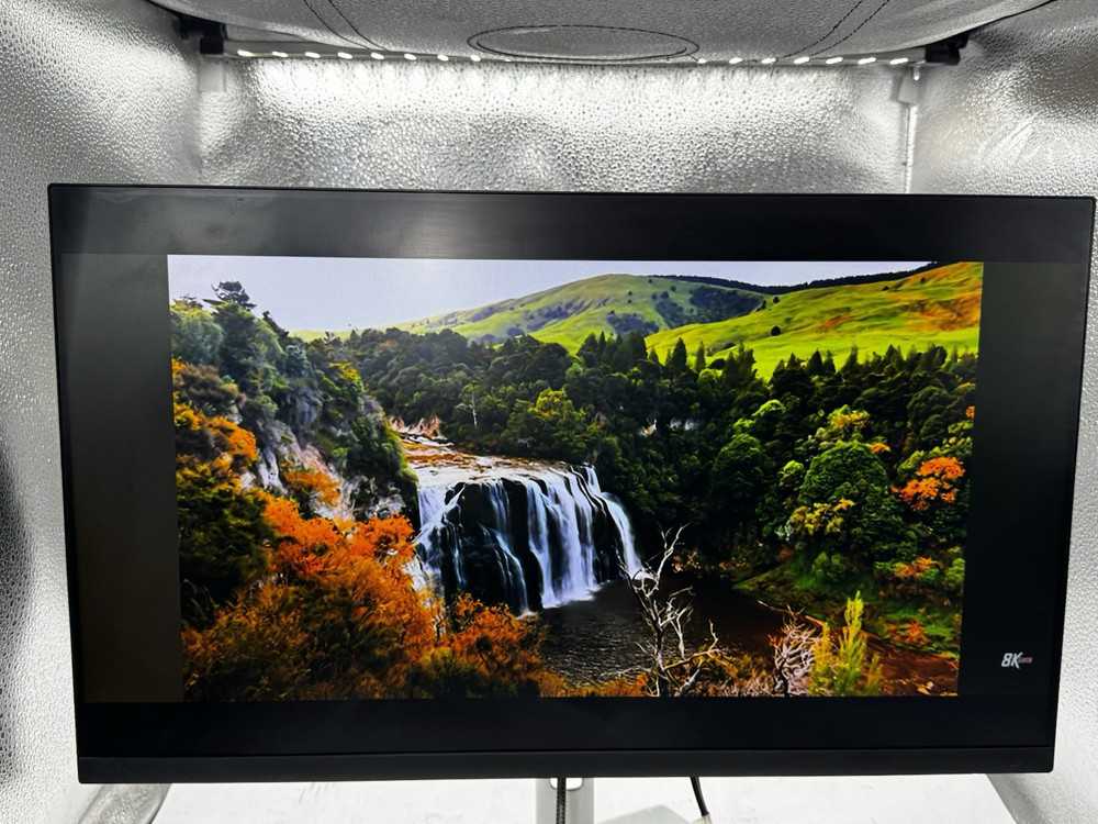 Dell P2422H 24-inch Widescreen HDMI IPS LED Monitor with Stand and Cables