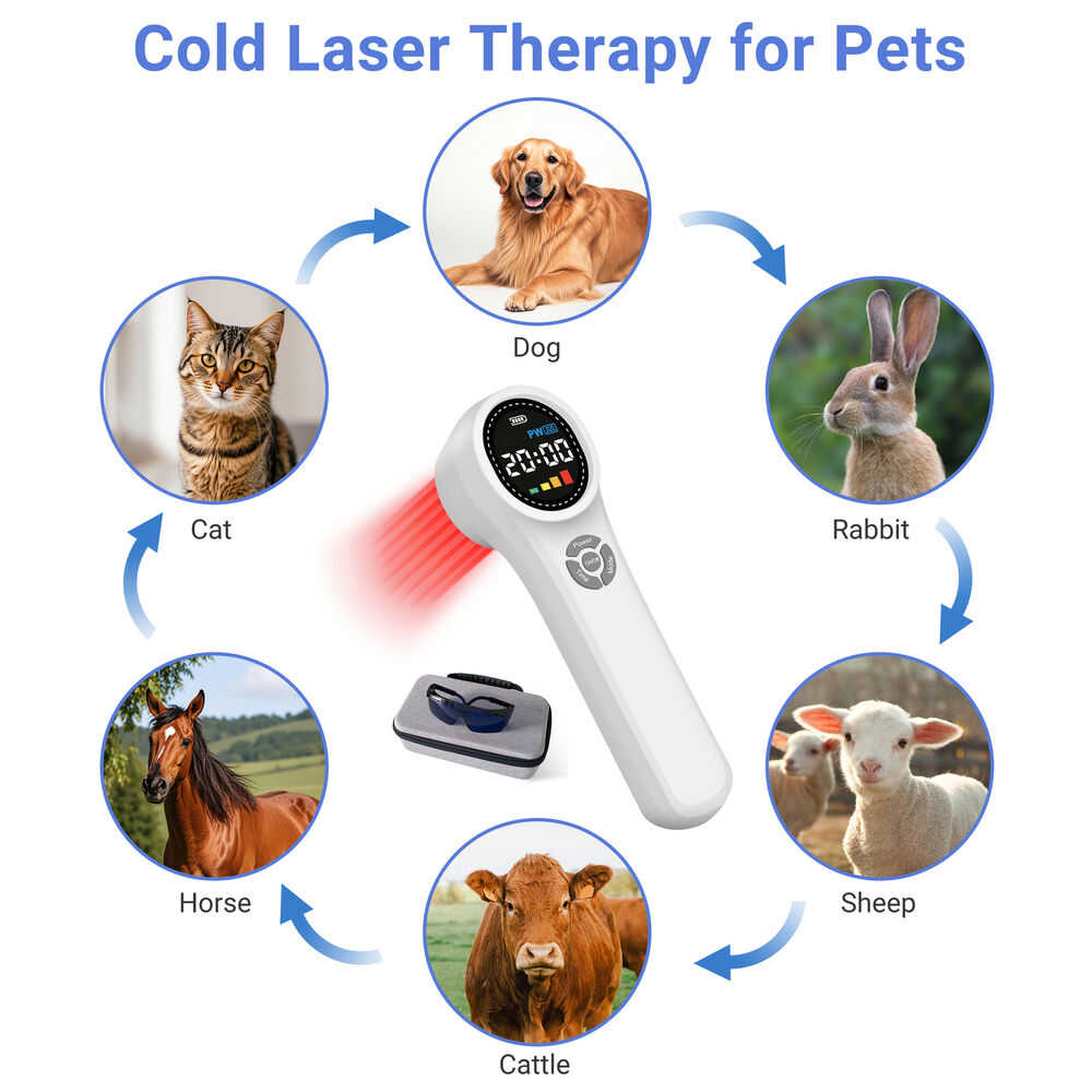 ZJZKTOP 1760mW Cold Laser Therapy Device for Peripheral Neuropathy